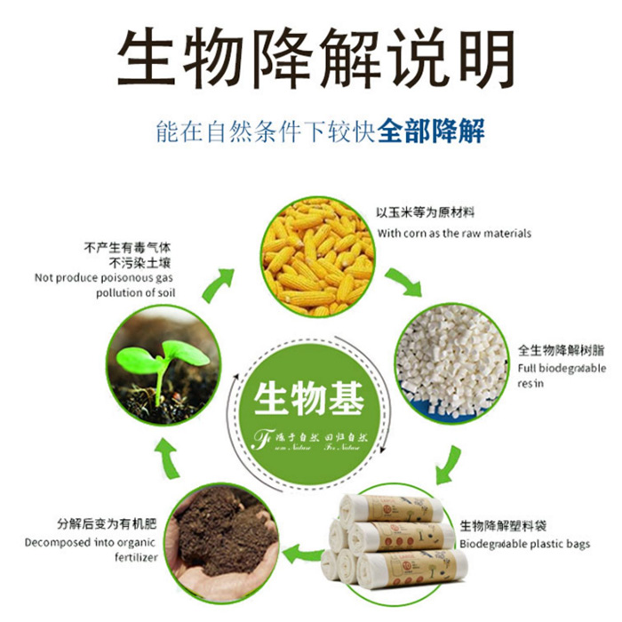 环保可降解包装